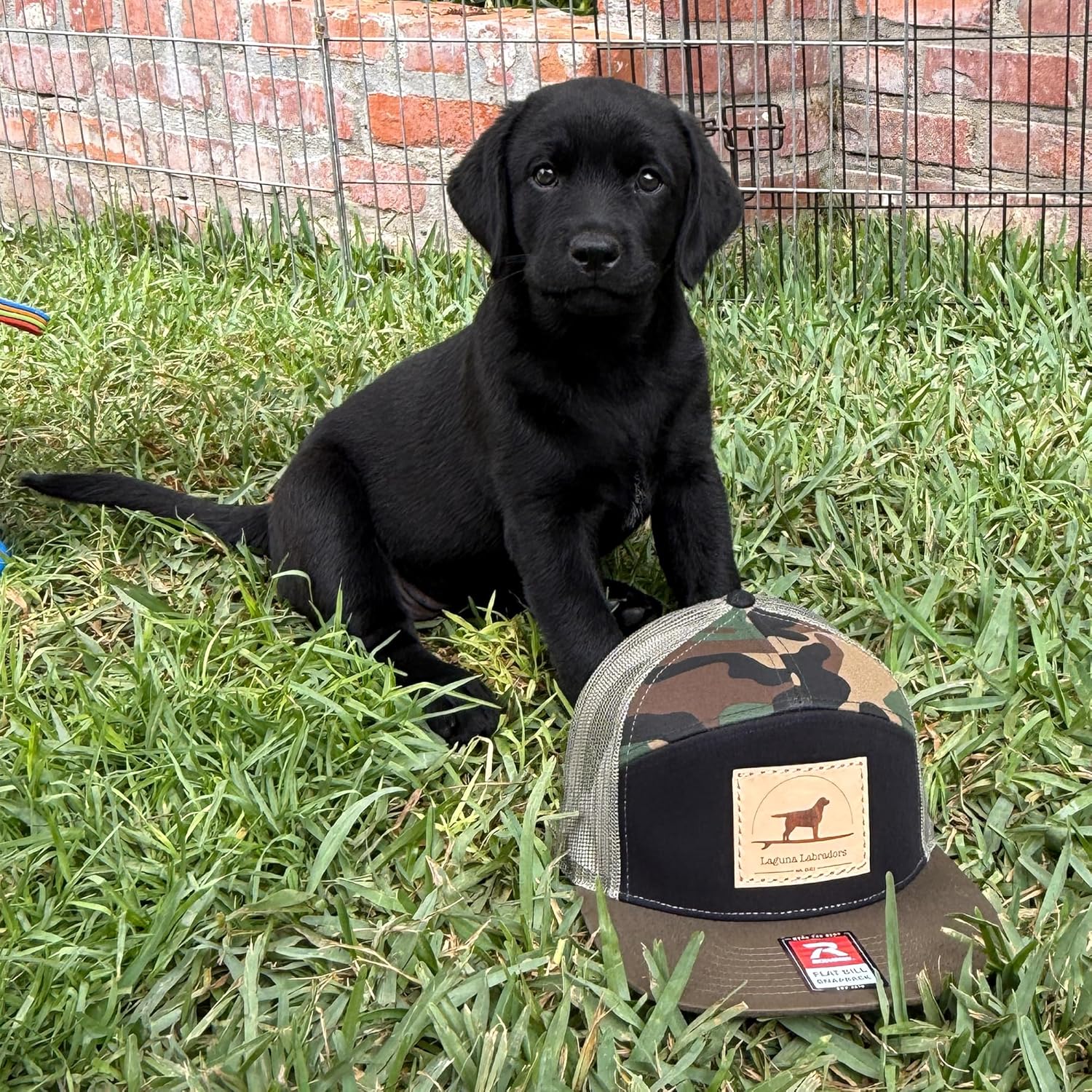 Laguna Beach Labradors Camo Flat Brim Trucker Hat, Mesh Snapback Baseball Cap with Custom Leather Patch, Military Green, Black, Tan, One Size. Labrador Retriever Lover - Image 3