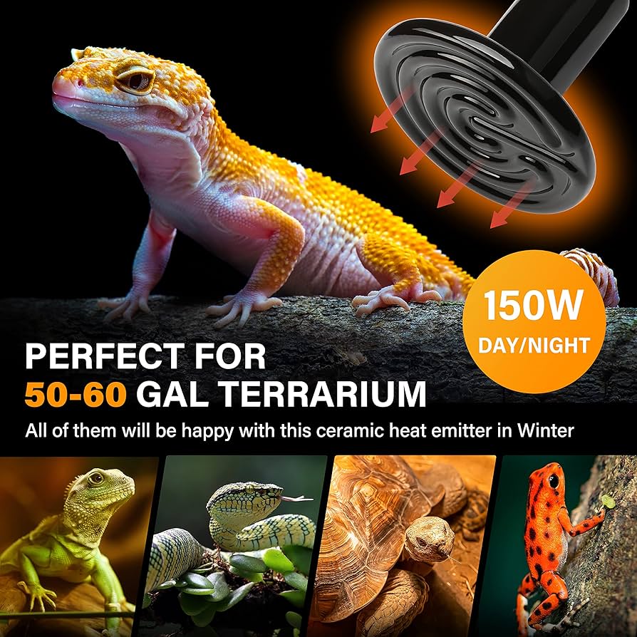 Amazon.com: HealSmart Reptile Heat Lamp 150W Ceramic Heat Emitter