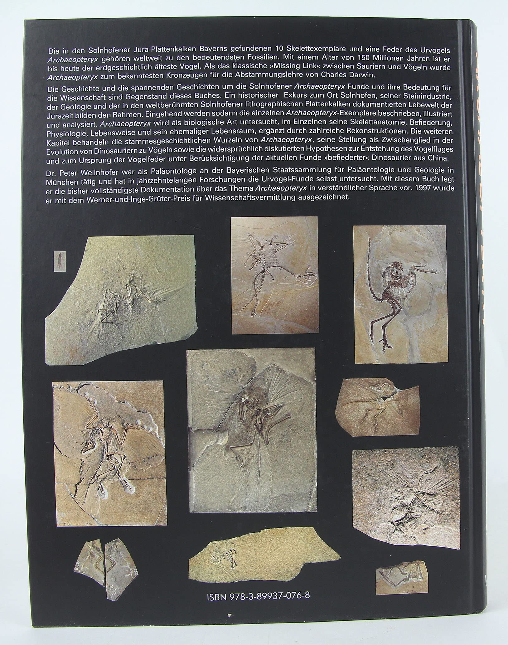 Archaeopteryx: Der Urvogel von Solnhofen