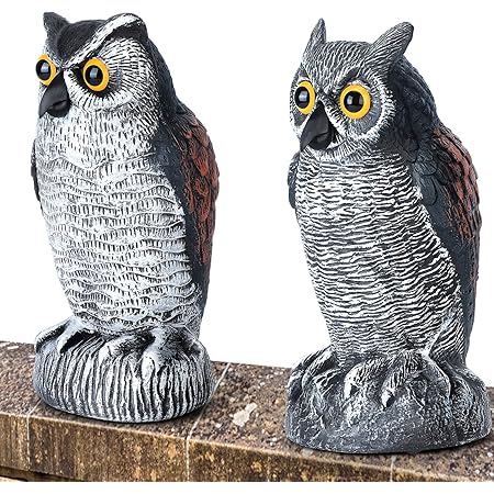 Amazon Com Galashield Owl Decoy To Scare Birds Away Scarecrow Fake Owl With Rotating Head Patio Lawn Garden