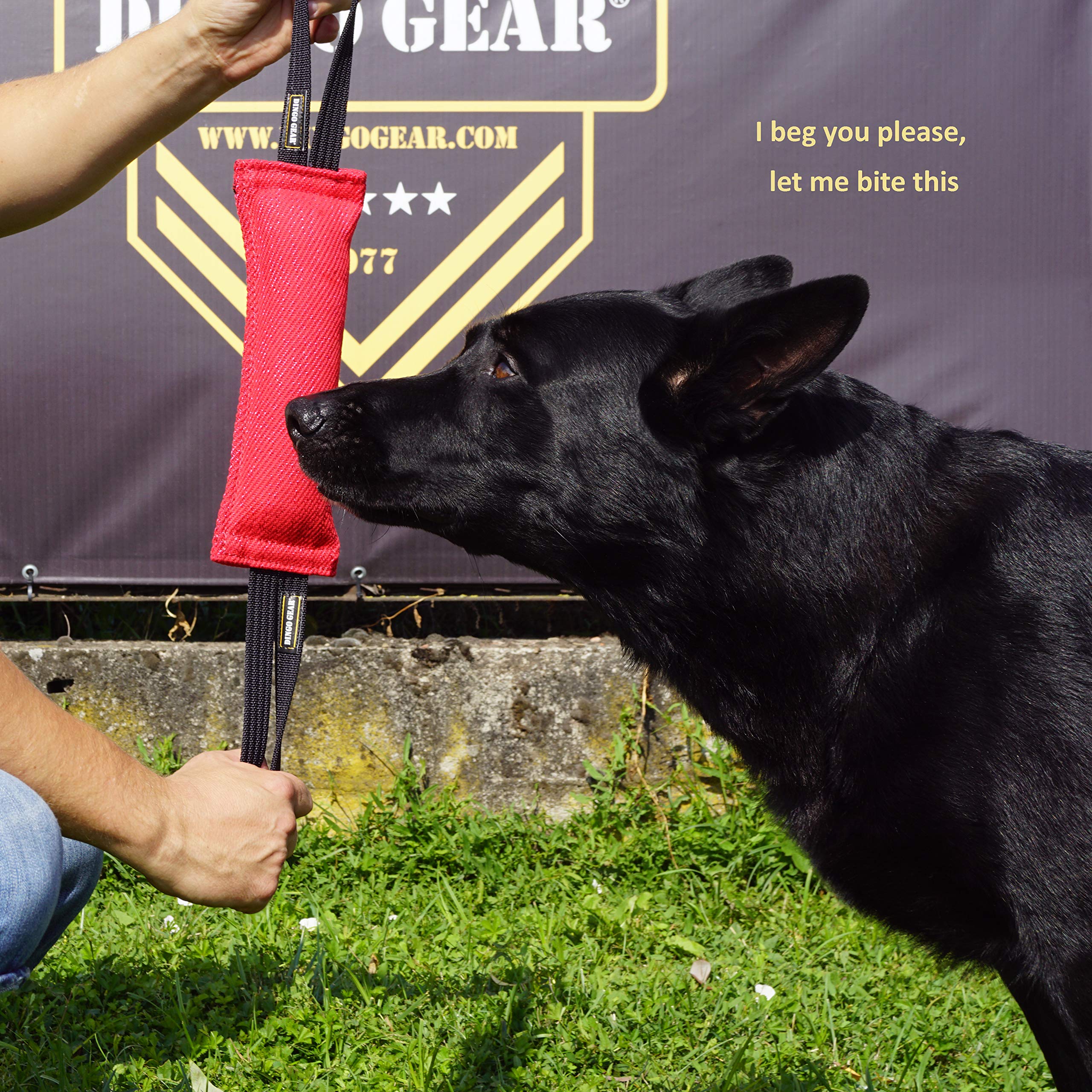 Dingo Gear - Rimorchiatore in Nylon per addestramento Cani IGP & Fun, 2 Maniglie, Nero, 28 x 7 cm