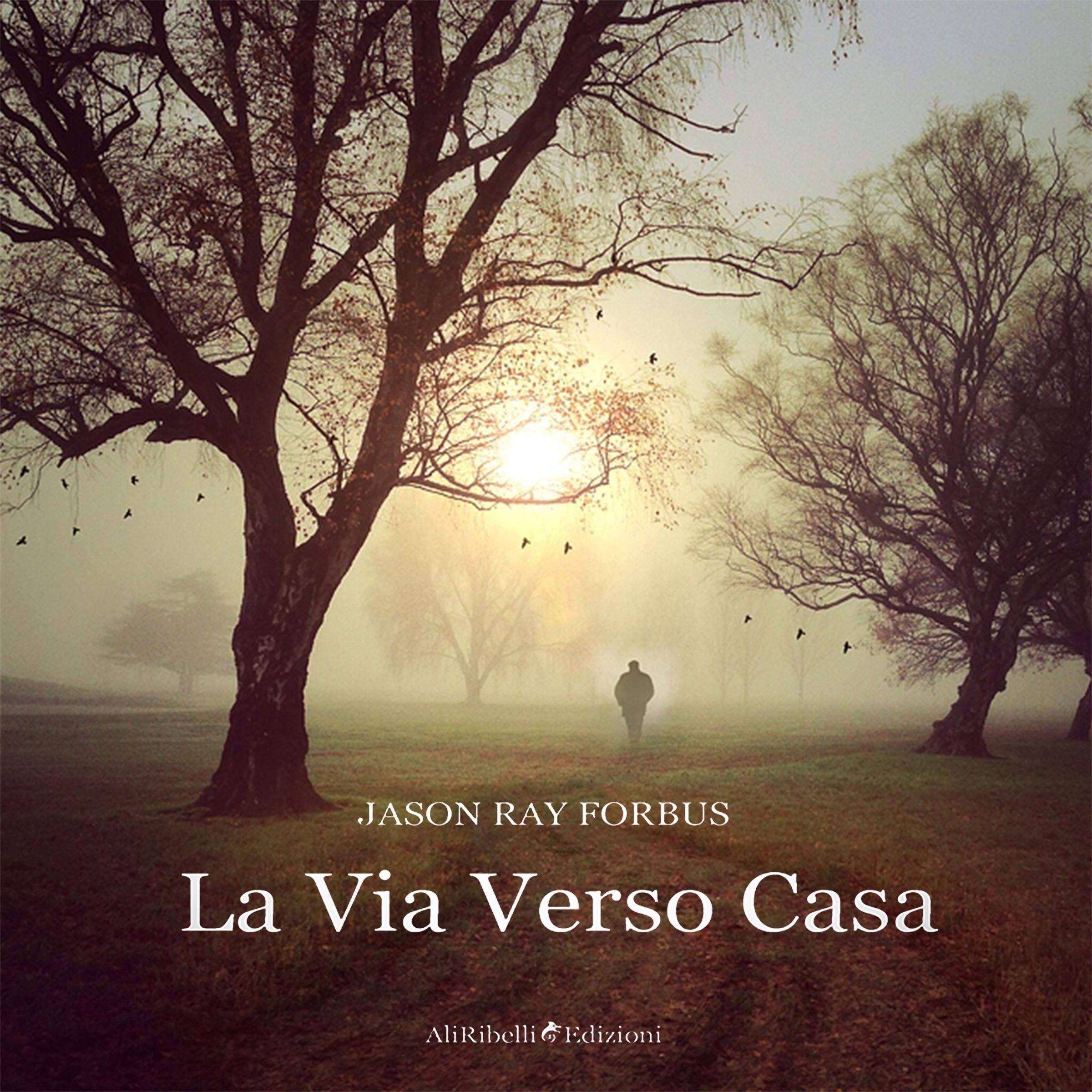 La via verso casa