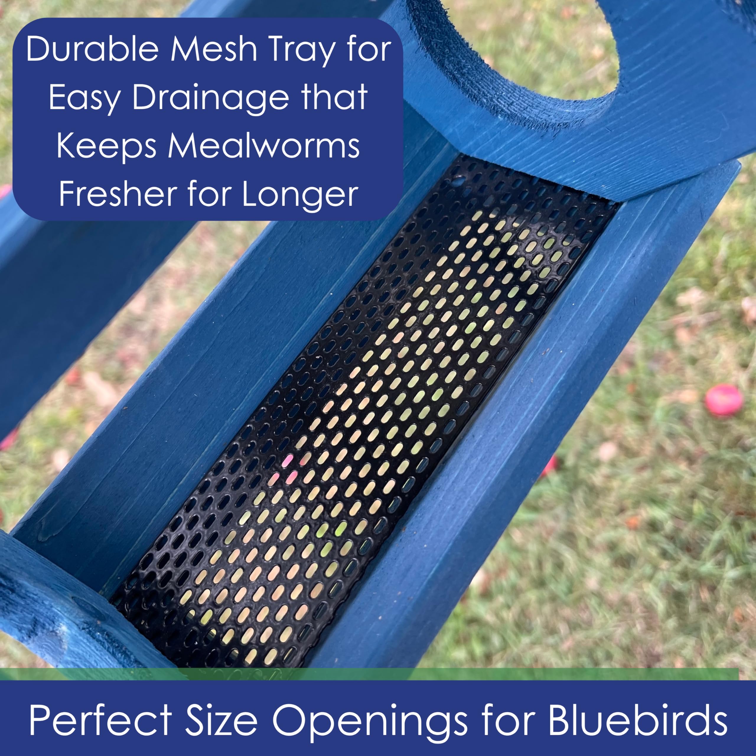 Petite Bluebird - Comedero con Techo de plexiglás y Bandeja de alimentación de Malla de Acero