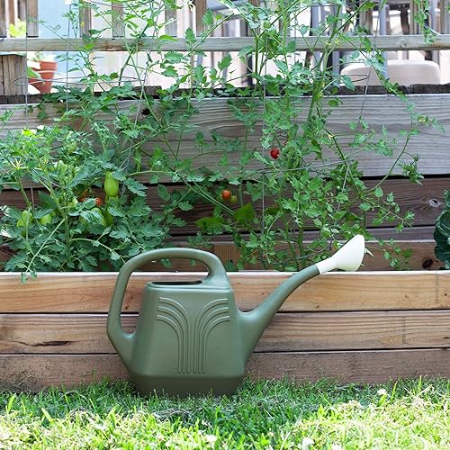 Miniatura 5 de Bloem Promo Watering Can 2 Gallon Capacity - Living Green - Durable Resin, Removable Nozzle Spout, Two Handles, Wide Mouth, for Indoor and Outdoor