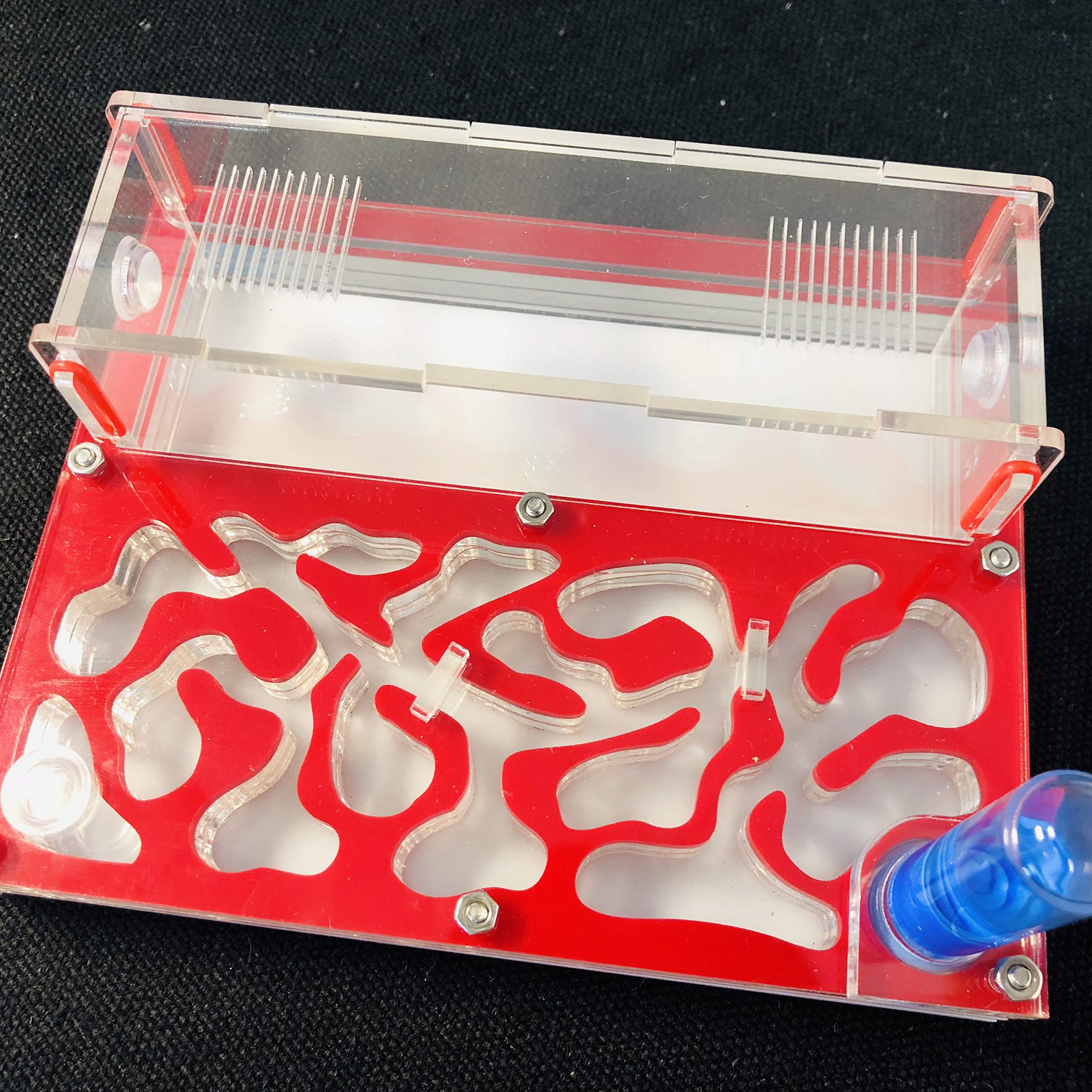 Formicario educativo per Formiche Farm per Prova Formiche Live Umidità Grande Spazio Nido di Formiche in Acrilico, Formiche Insetti (Rosso) - 5