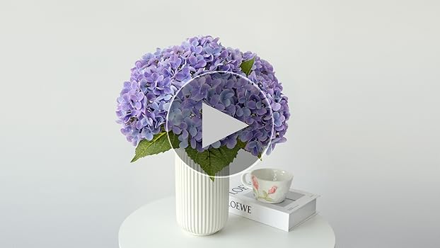☆hydrangea☆さま 専用です VOGDORA 100 Hydrangea Flower Seeds, Blue Pink Purple