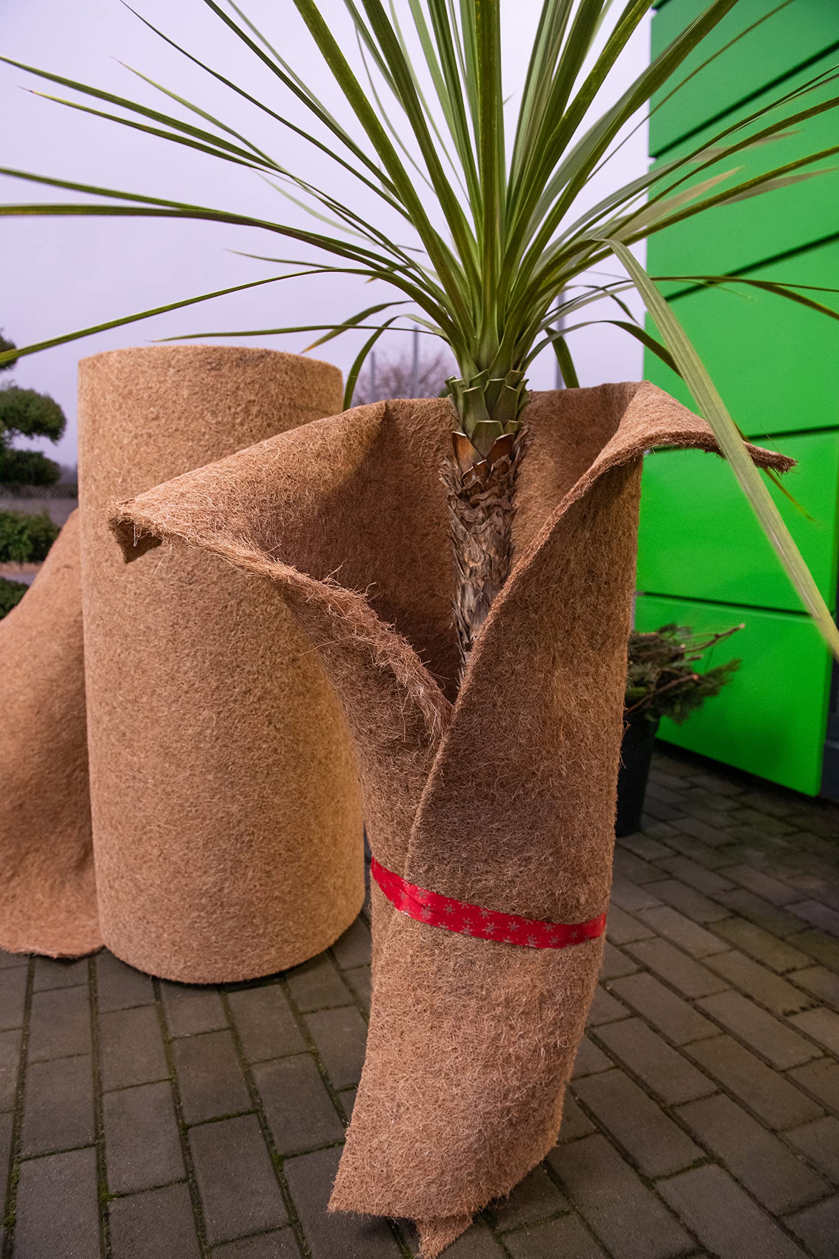 Kokosmatte Winterschutz Kälteschutz für Pflanzen - Meterware 25 cm / 50 cm / 100 cm (Breite) - Kokos Filzmatte für Kübelpflanzen 100% biologisch abbaubar - Garten Haustiermatte - 50cm x 15m, 7mm dick