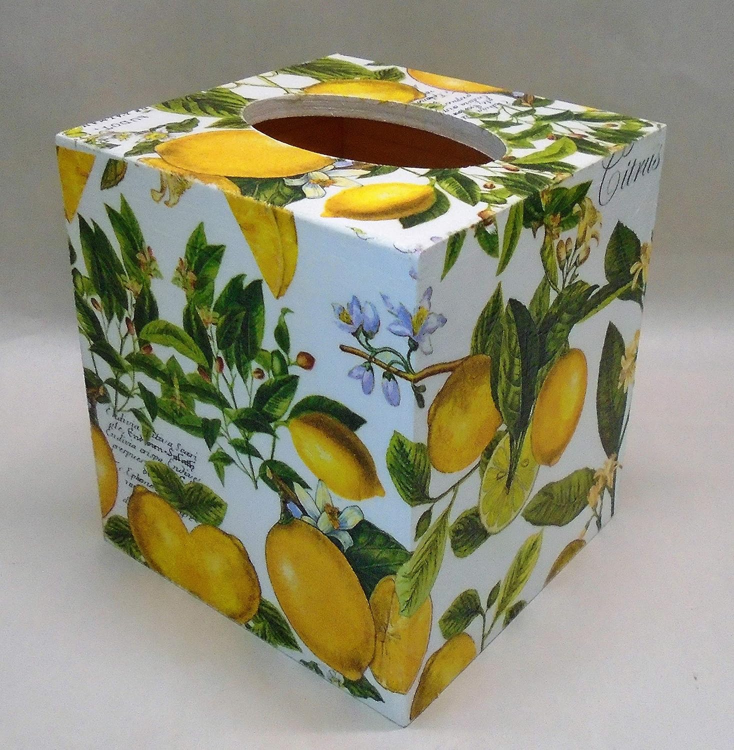 Handmade Decoupage Wood Tissue Box Cover, Lemons, Citrus