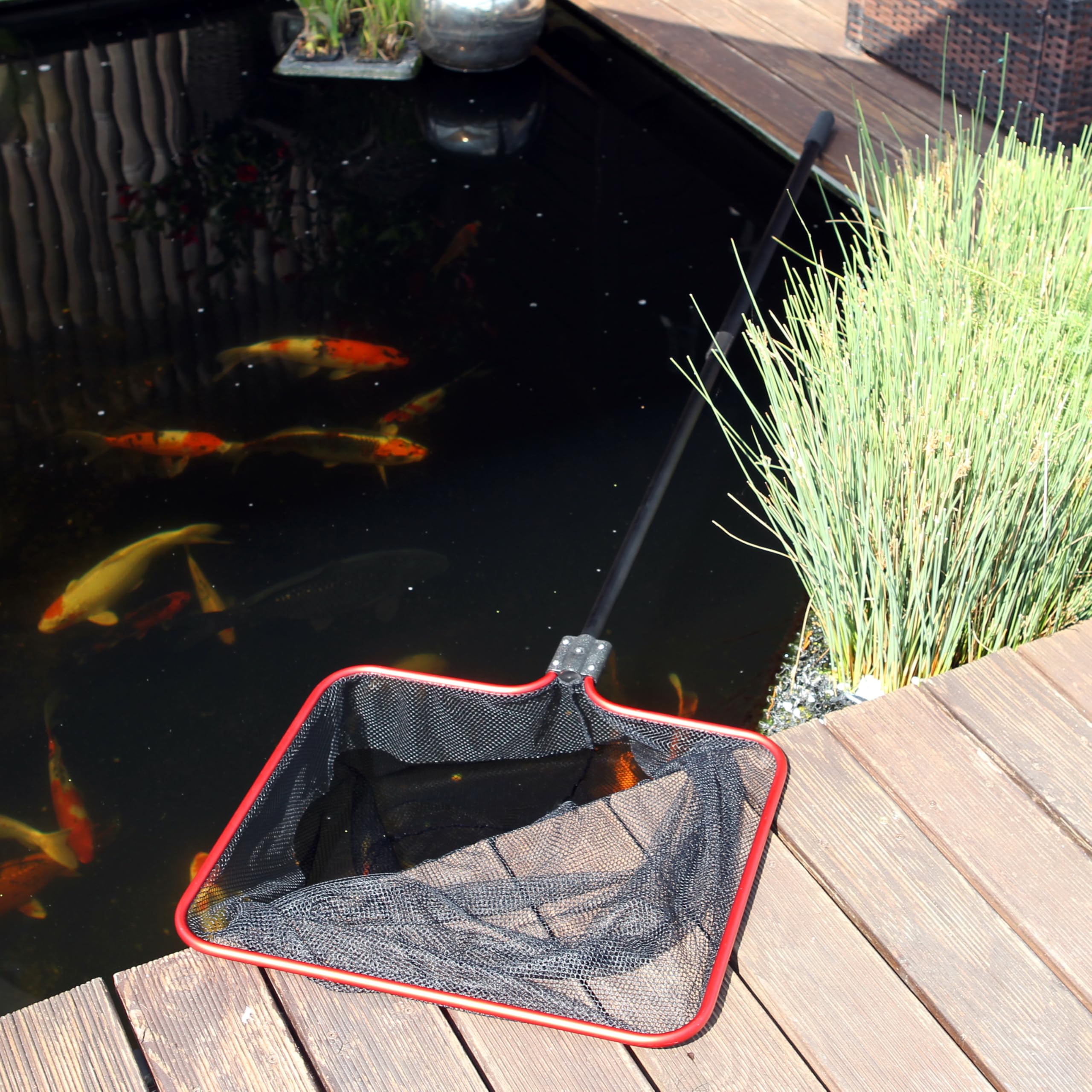 JBL Teichkescher M Grob 50x43 cm Feinmaschiges Fang Netz 160 cm Teleskopstiel