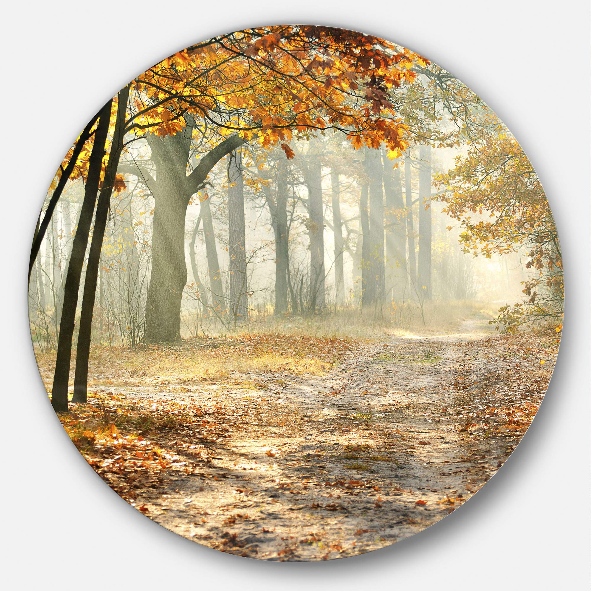 Designart MT9784-C11 Bright Yellow Fall Morning Landscape Photo
