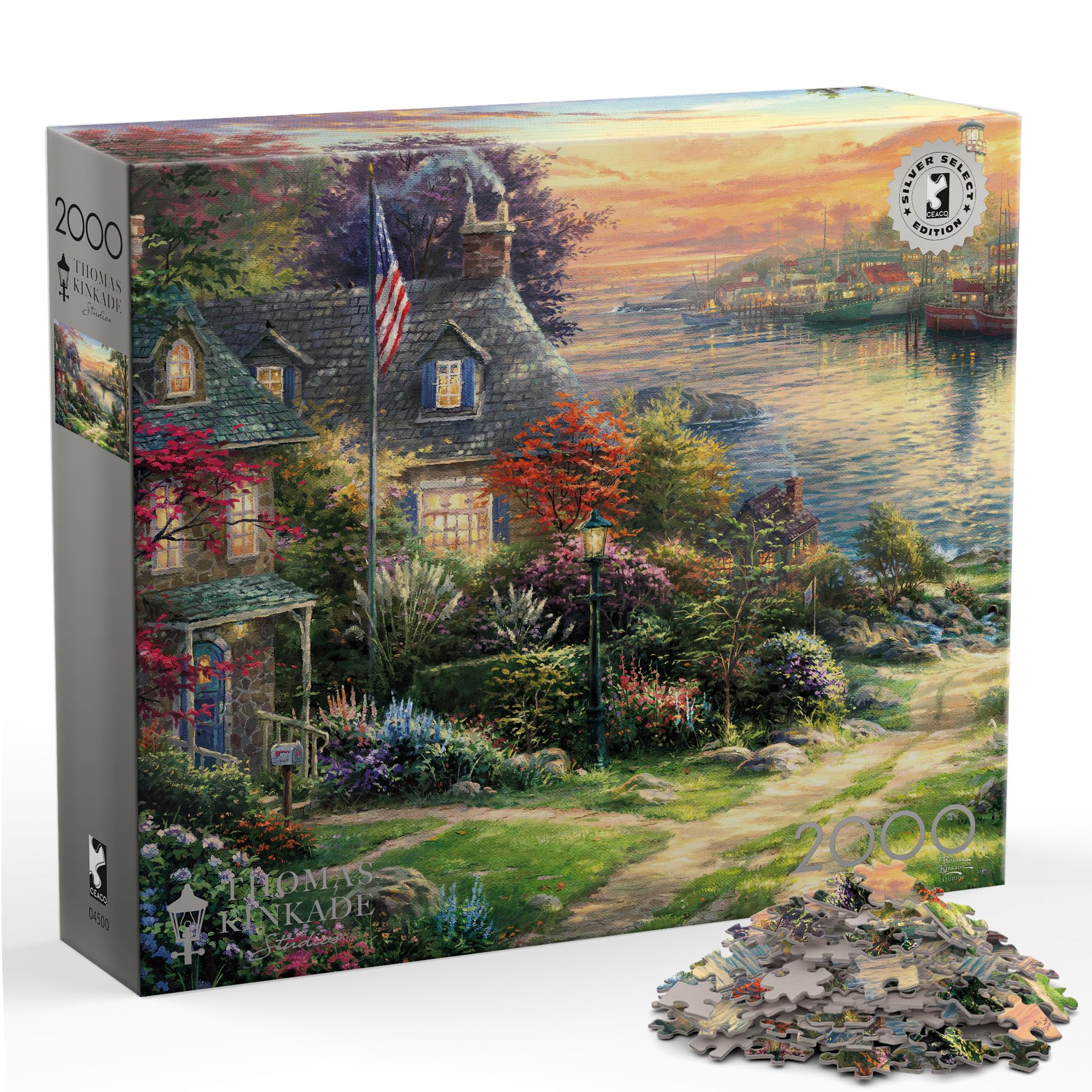 Amazon.com: Buffalo Games - Thomas Kinkade New England - 2000