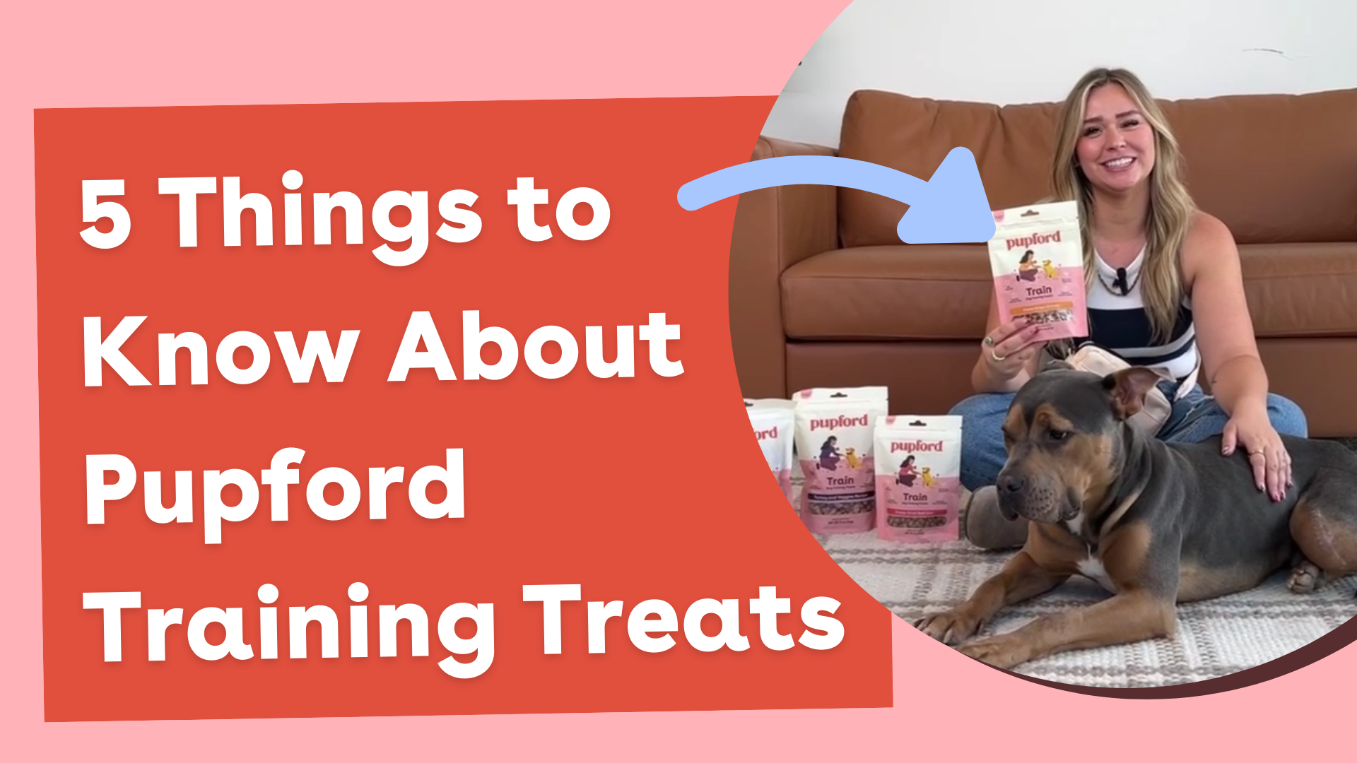 Pupford Freeze Dried Training Treats for Dogs & Puppies, 900+ Limited Ingredient Bites (Meat Bundle) - image 7