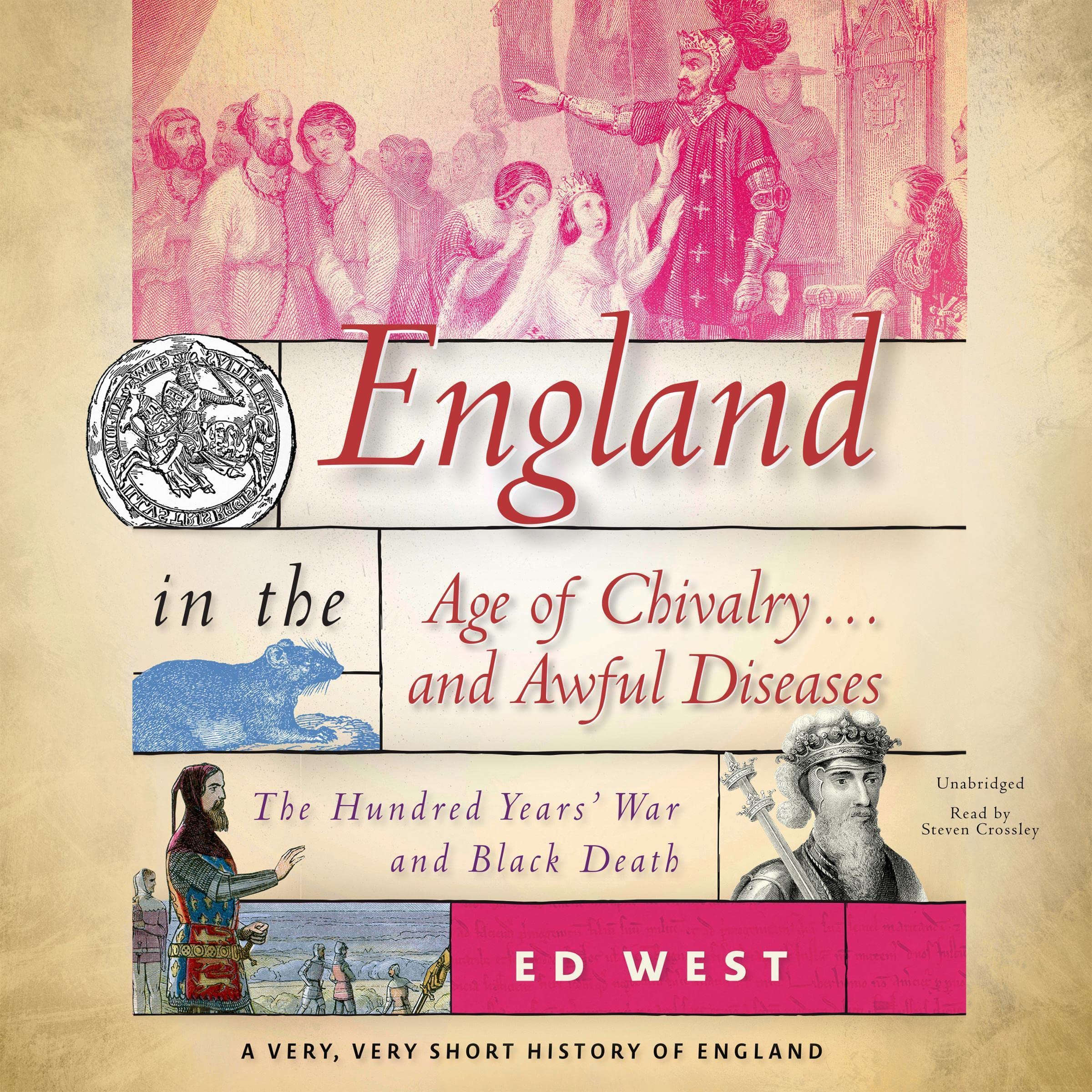 Cover art for England in the Age of Chivalry … and Awful Diseases: The Hundred Years' War and Black Death