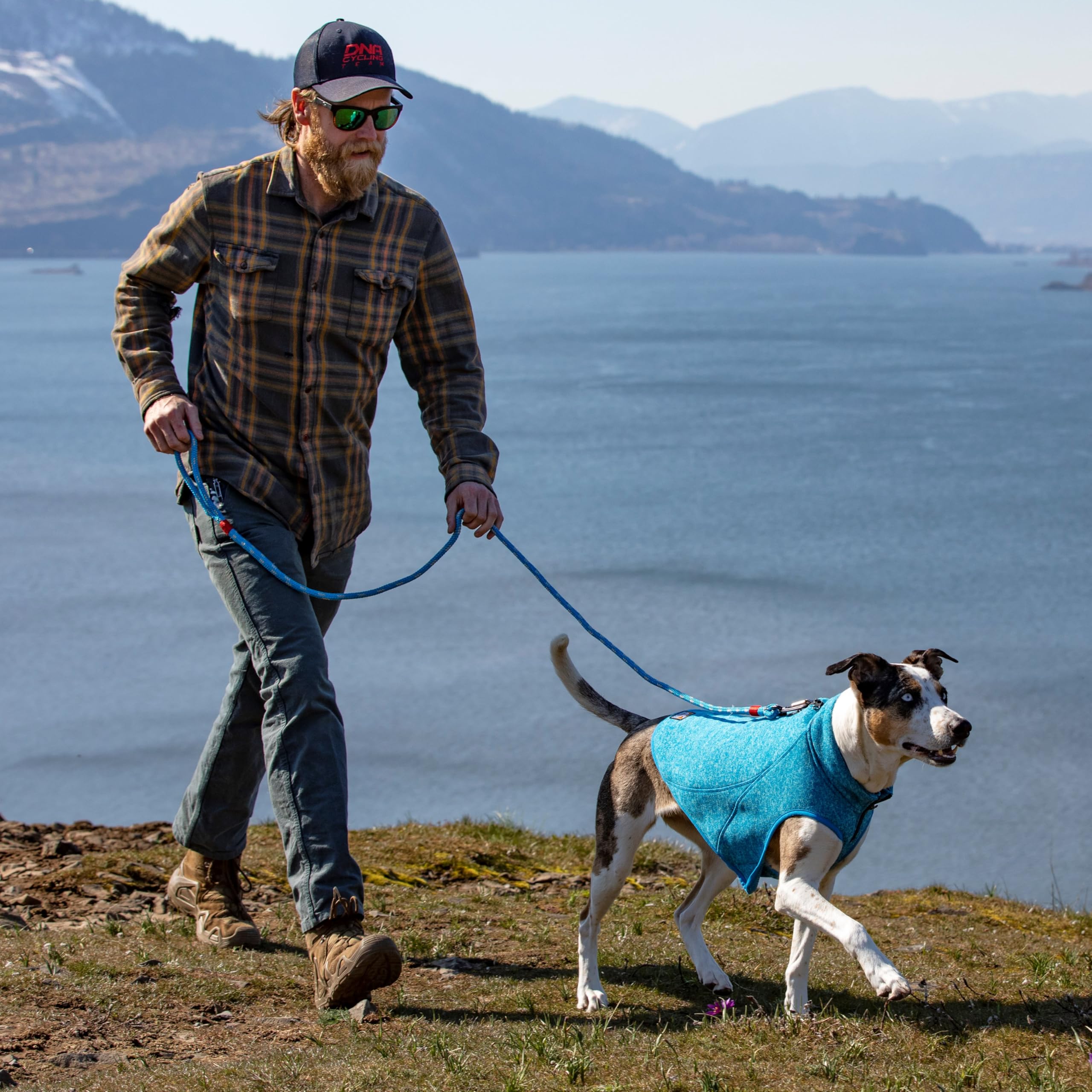 Kurgo Core Hundepullover, gestrickter Hundepullover mit Fleecefutter, Haustierjacke für kaltes Wetter, Reißverschlussöffnung für Geschirr, Verstellbarer Hals, ganzjähriger Pullover für kleine Hunde
