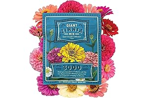 Zinnia Seeds for Planting Outdoors