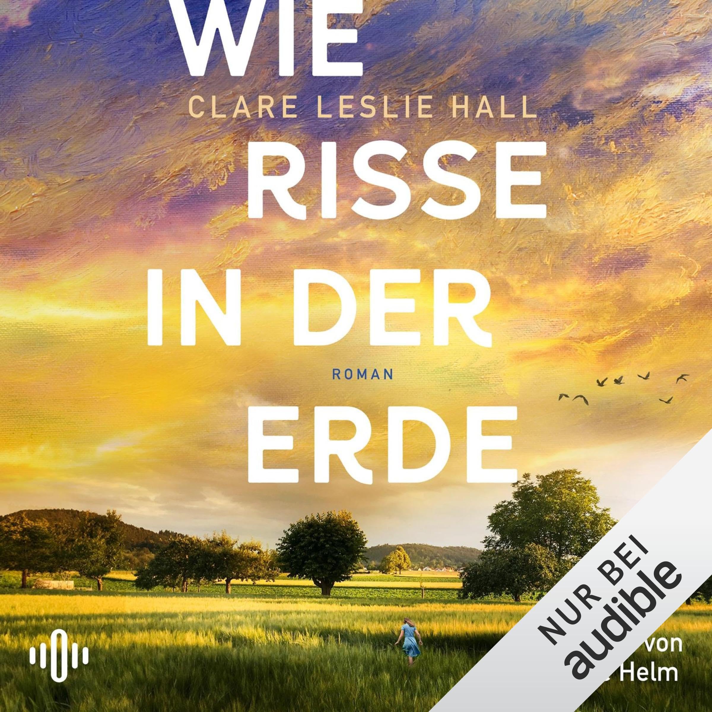 Wie Risse in der Erde