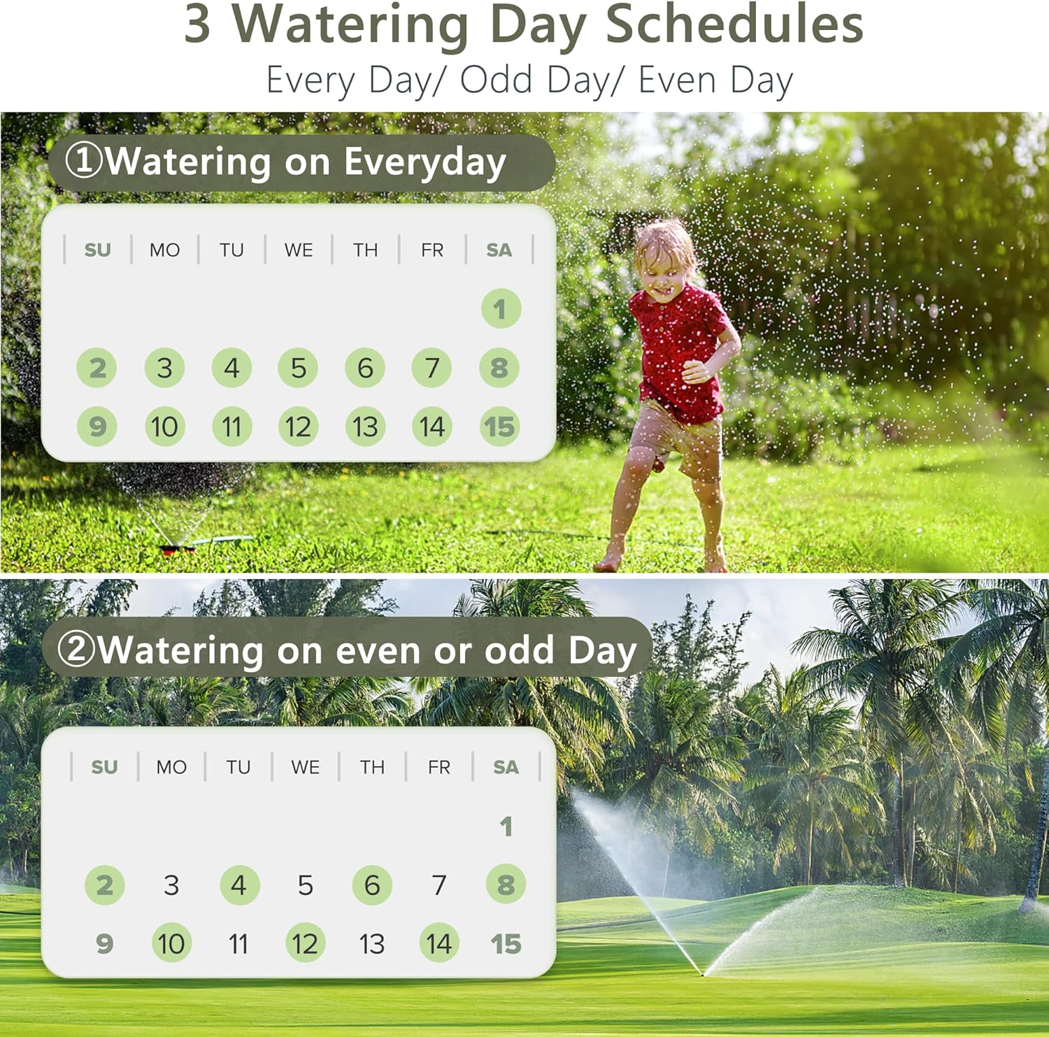 Sprinkler Timer 2 Zone, Diivoo Programmable Water Hose Timer 2 Outlet for Garden, Automatic Irrigation Timer IP54 with Rain Delay/Manual/Auto Mode, Outdoor Hose Timer Controller for Lawn, Yard, Pool : Tools & Home Improvement