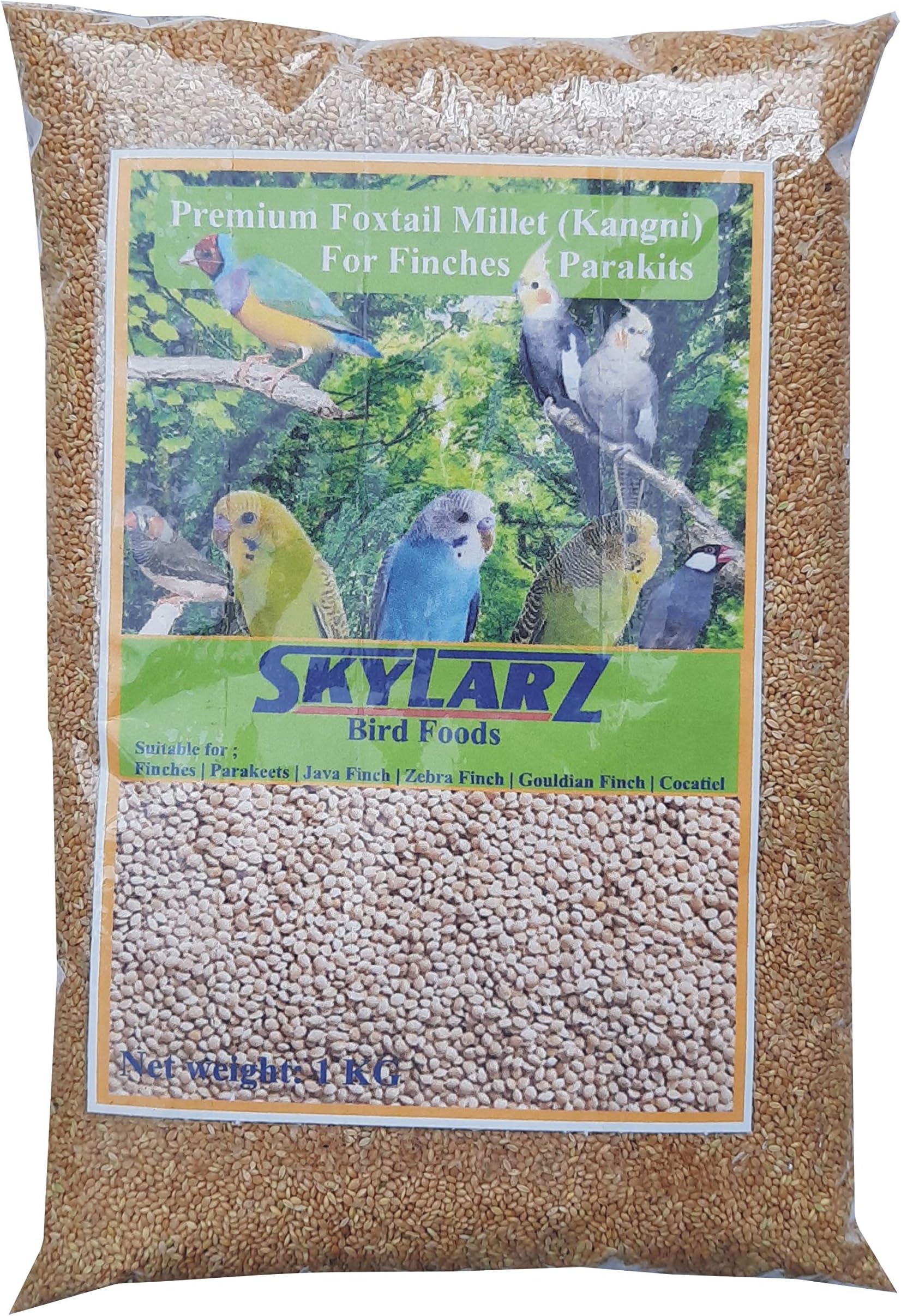 Foxtail Millet Kangni Seeds 1 Kg - All Life Stages, Bird