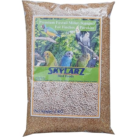 bird seed suppliers