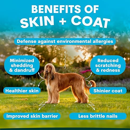 Miniatura 2 de Piel y pelaje para perros  Suplemento Omega 3 para perros  Restaura la piel, reduce el desprendimiento, promueve la salud del corazón, alergias y