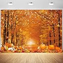 fall backdrop Top1商品