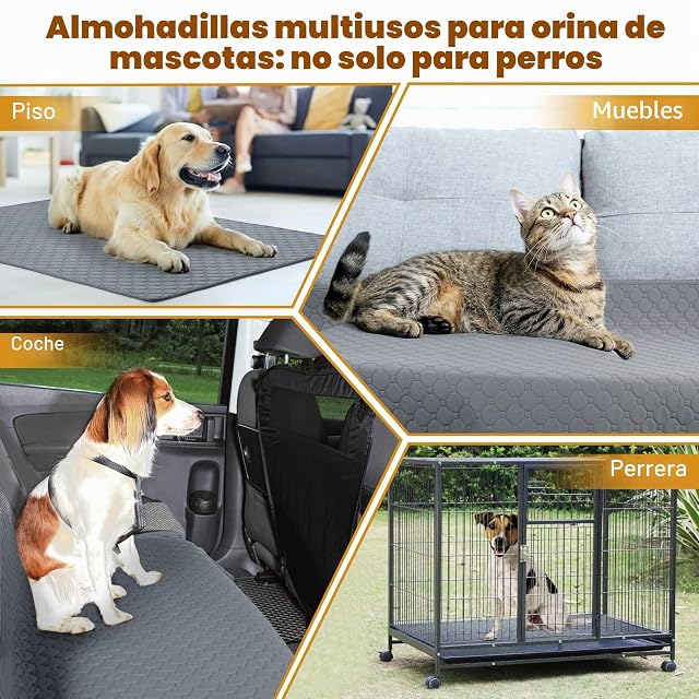 Foto 7 de 7 de Almohadillas reutilizables para entrenamiento de perros, 2 unidades
