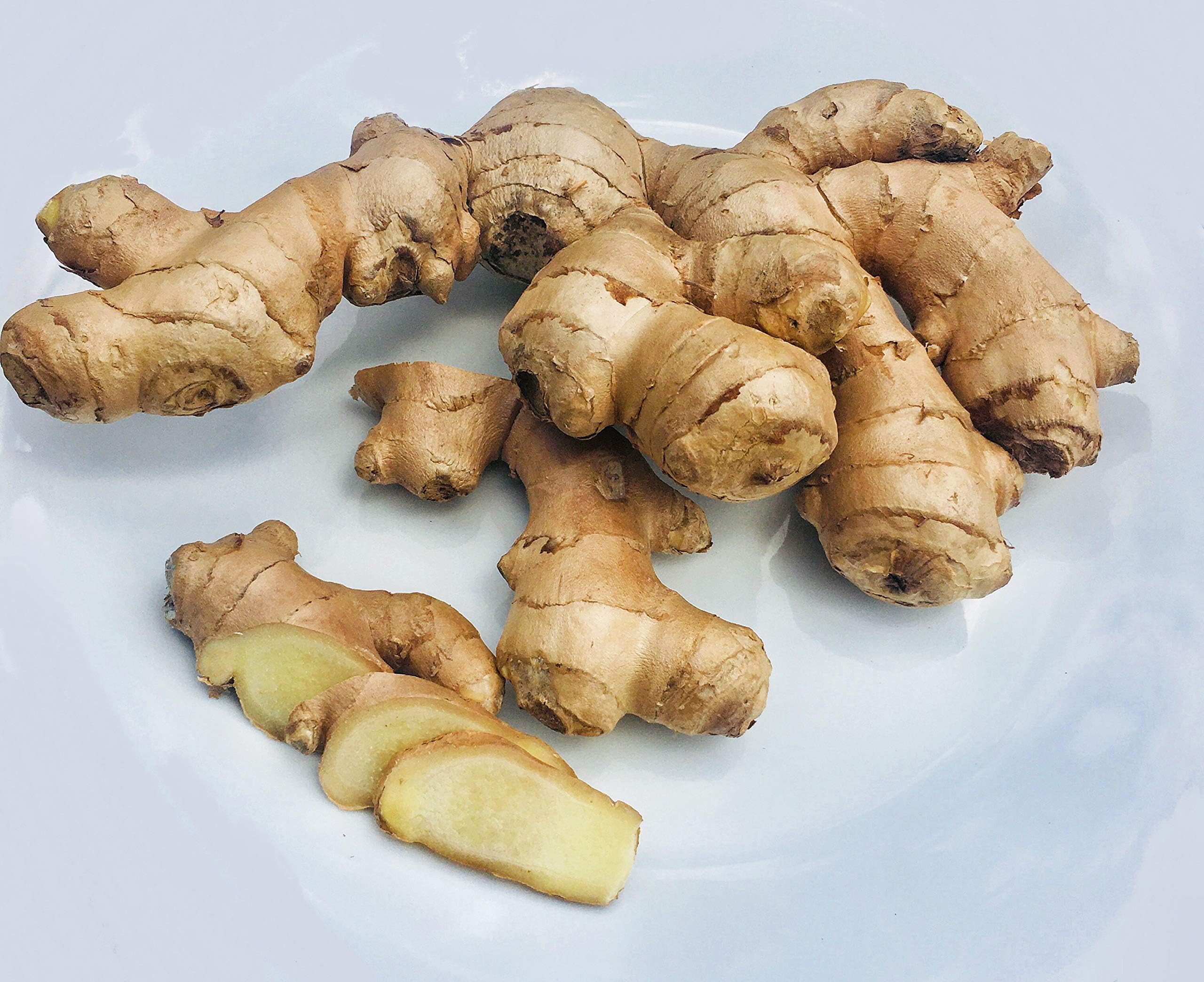 Kejora Premium Fresh Ginger Root 2 LBS