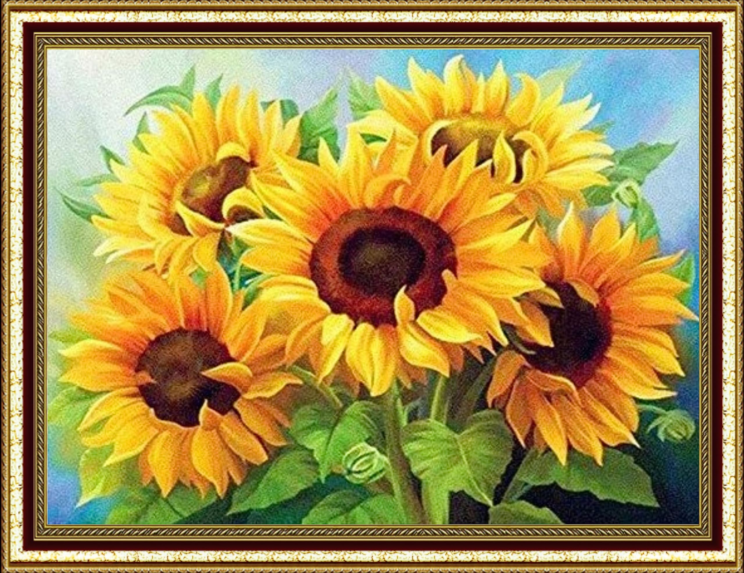 day after tomorrow 1st ミニアルバム misono サイン day after tomorrow 1st ミニアルバム misono サイン day after