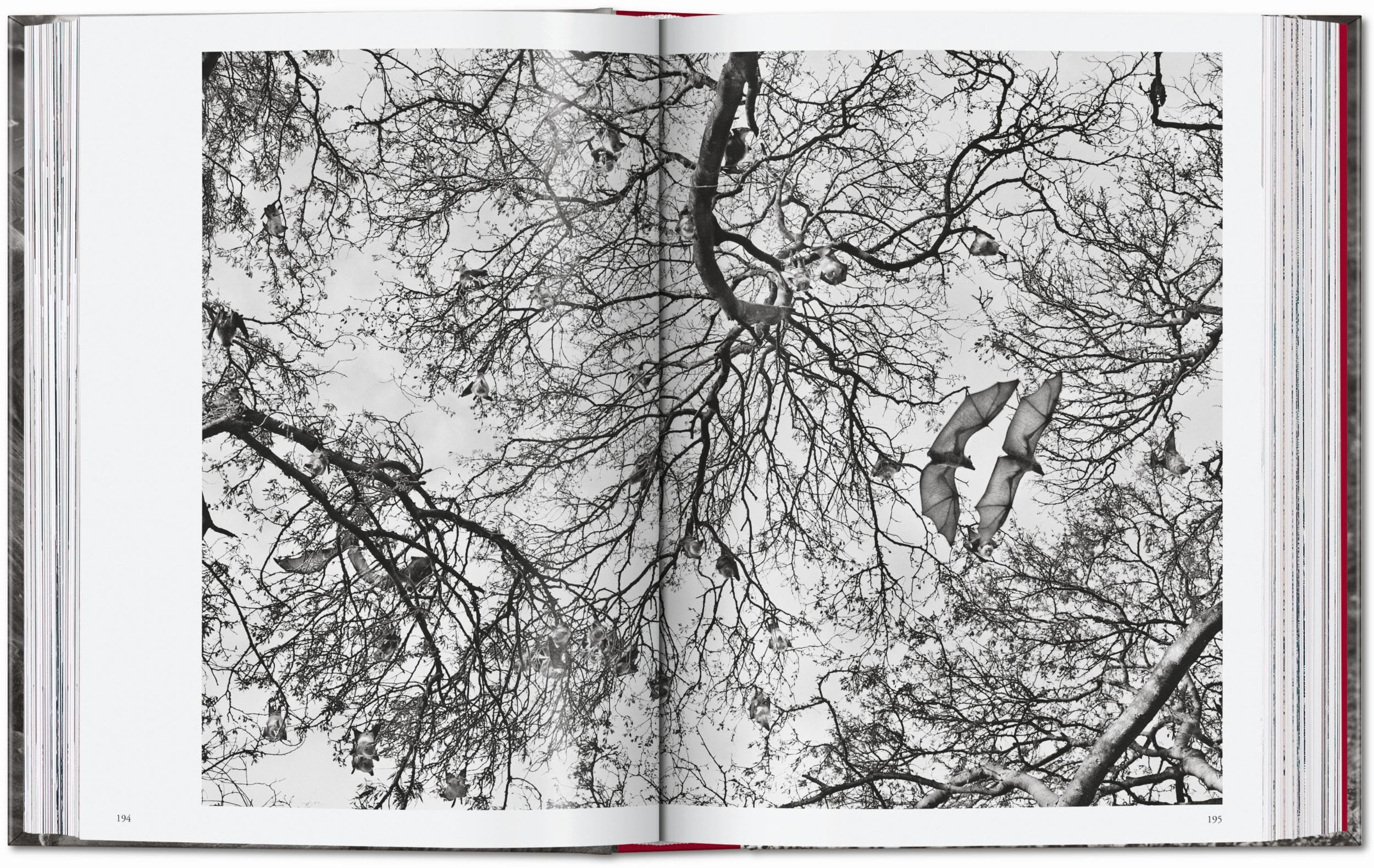 Sebastião Salgado: Genesis. 45th Ed.