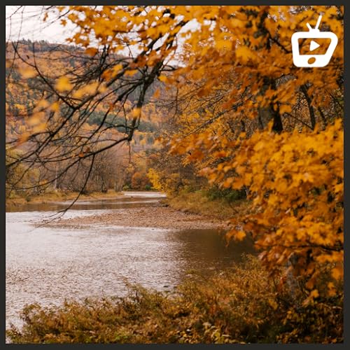 Calm Autumn Meditation – Relaxing Fall Ambience & Nature Sounds For Fire TV | NO ADS