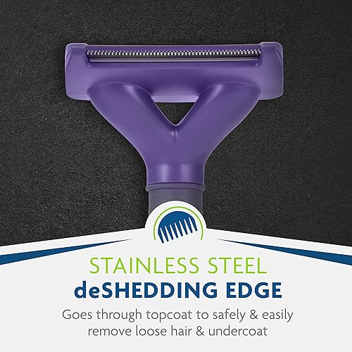 Miniatura 8 de Herramienta FURminator® para eliminar el pelo suelto para gatos medianos/grandes, pelo largo, elimina el pelo suelto de la muda