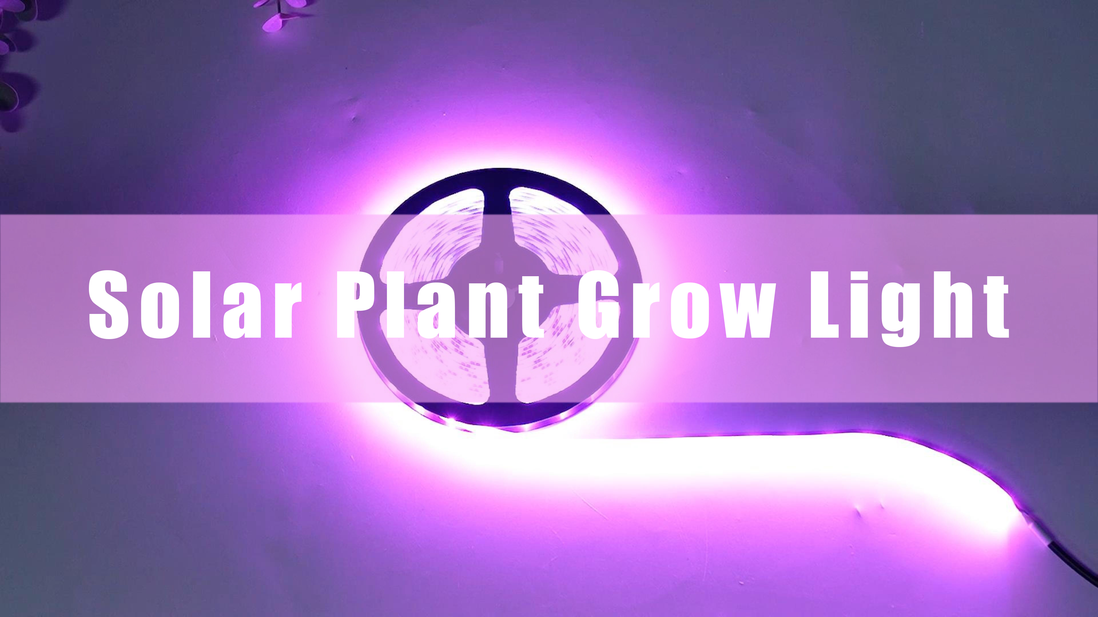 Gugxiom Solar Pflanzenlicht 5M - Wasserdichtes Wachstumslicht Mit Solarpanel