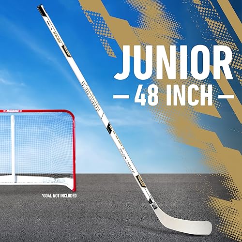 Vista 67 de Franklin Sports NHL Team - Palo de hockey callejero de vinilo de 48 pulgadas Pittsburgh Penguins