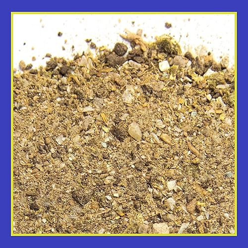 Miniatura 4 de Pennington Rejuvenece cítricos y aguacate 4 libras