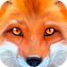 Ultimate Fox Simulator