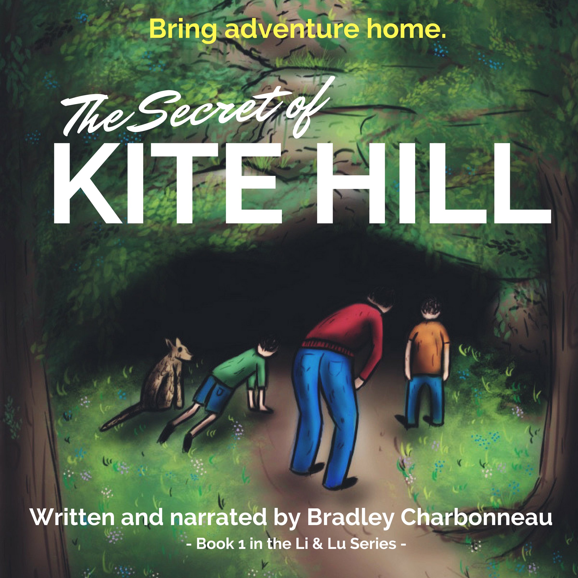 Cover art for The Secret of Kite Hill