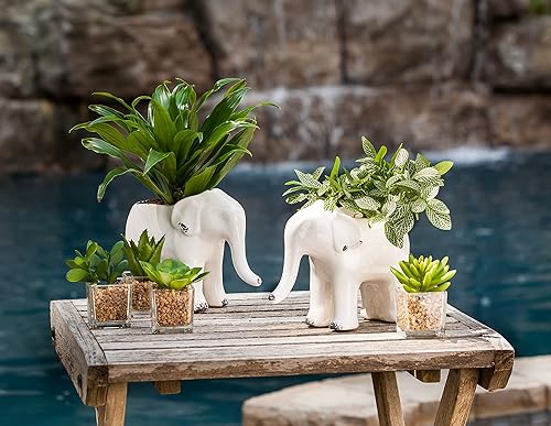 Miniatura 3 de Abbott Collection Pie Macetero con forma de elefante