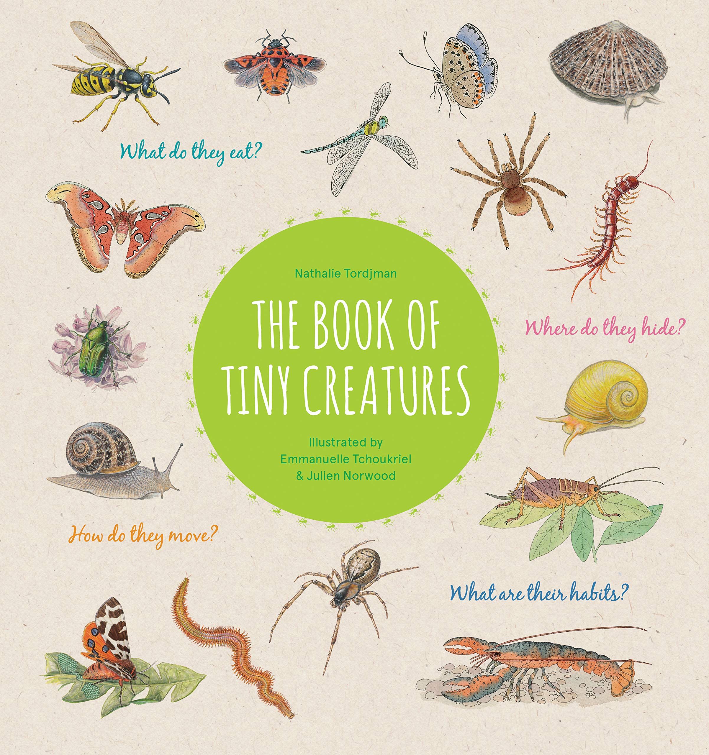 The Book of Tiny Creatures by Nathalie Tordjman HARDBACK 9781616899745