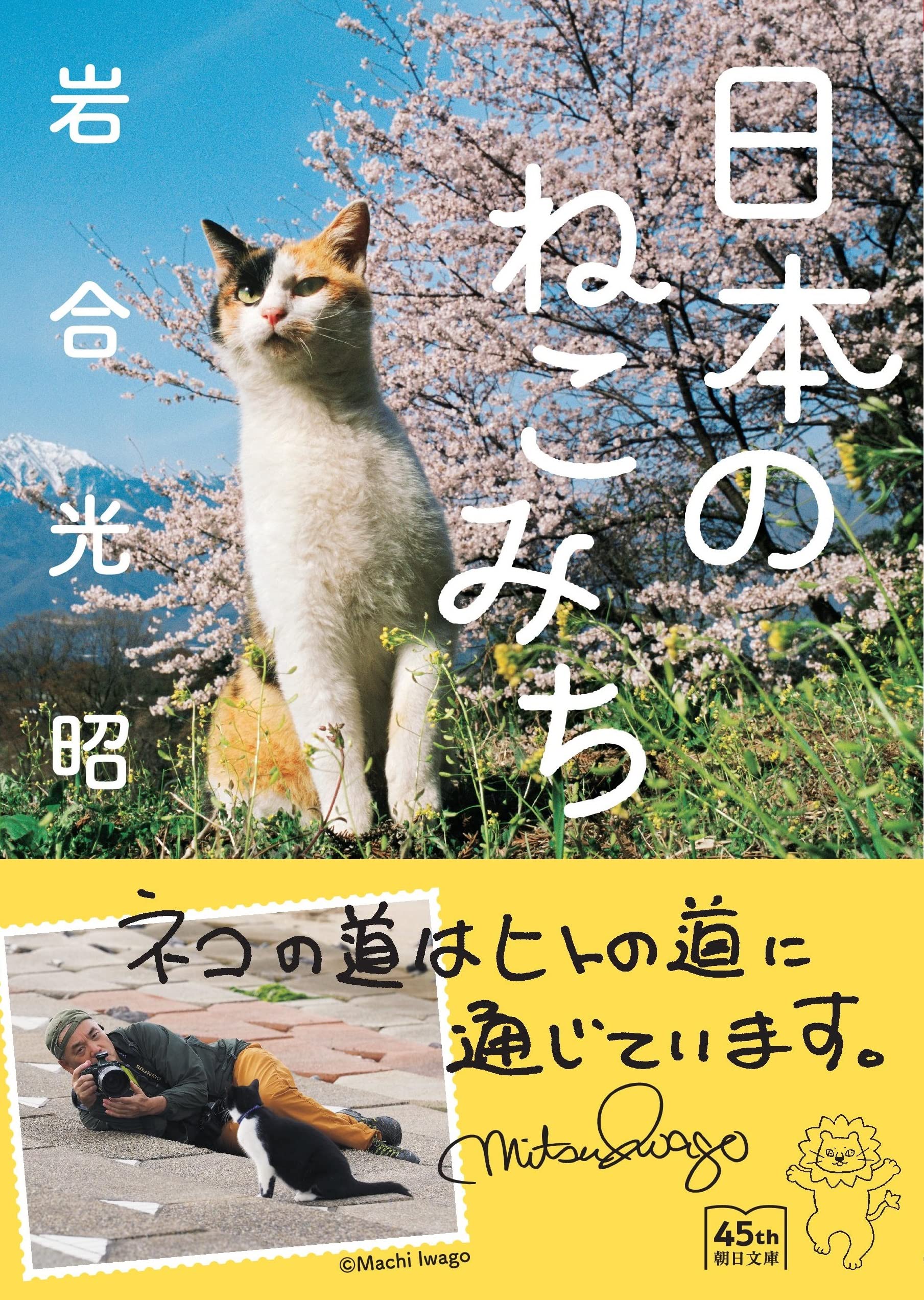 Amazon.co.jp: 日本のねこみち (朝日文庫) : 岩合 光昭: 本