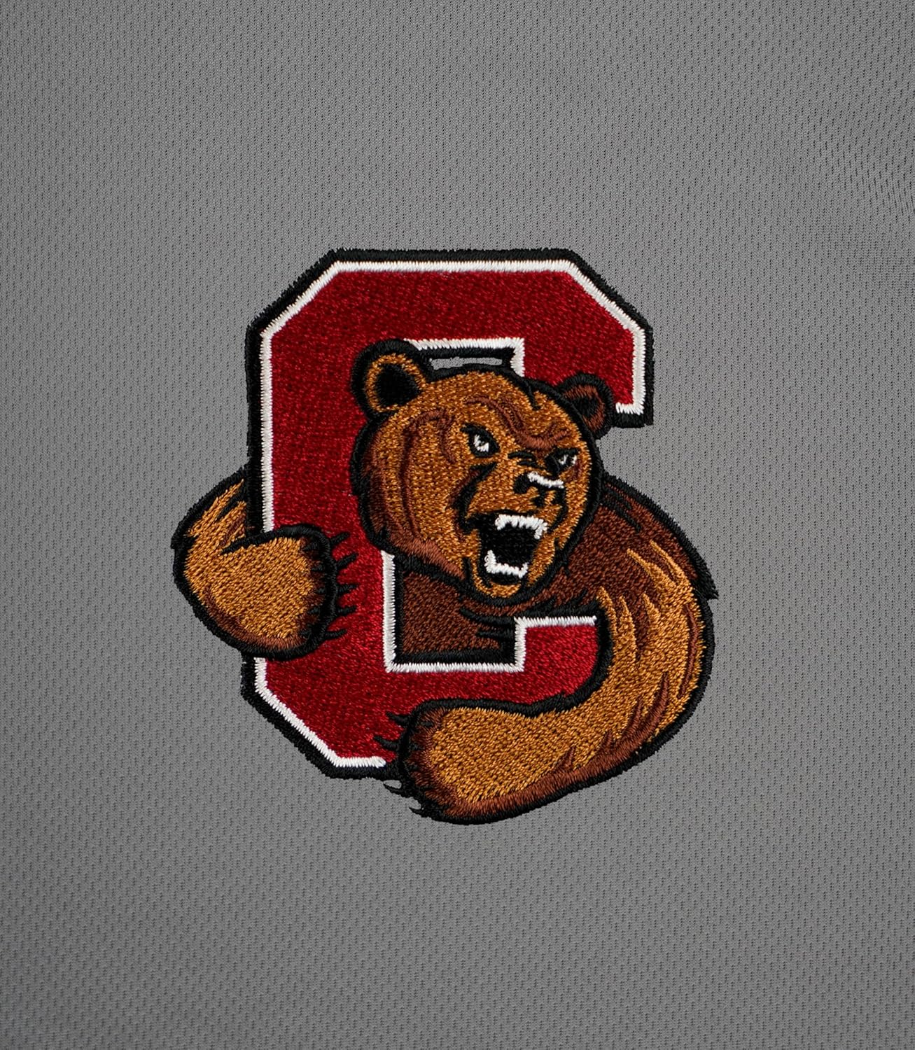 Men's Collegiate Polyester Mesh Team Icon Polo, Cornell Big Red, Large