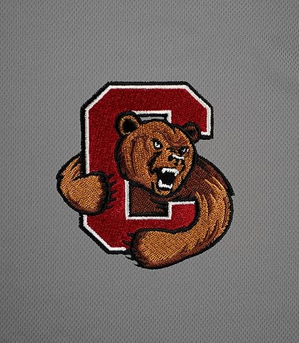 Miniatura 242 de Vantage Apparel NCAA Mens Men's Collegiate Polyester Mesh Team Icon Polo