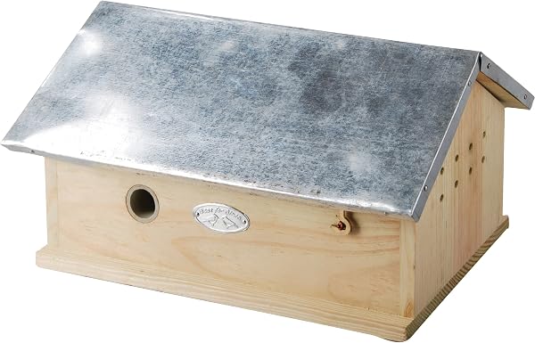 Esschert Ruche à Bourdon en Bois - 1