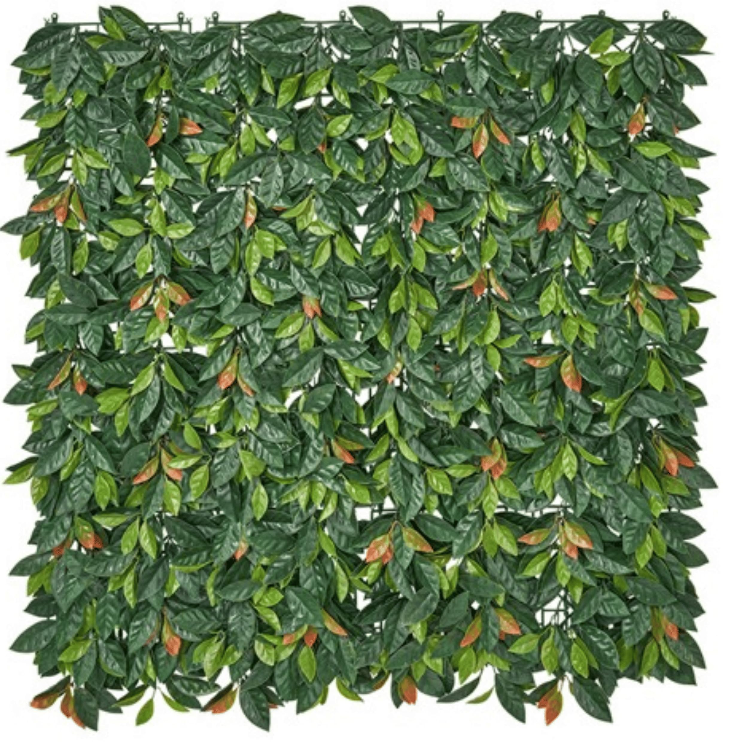 Siepe Sintetica Edera Finta Foglie Sintetiche di Photinia 1x1 MT Anticaduta Lavabile e Resistente ai Raggi UV Ideale per Terrazzi,Giardino,Balcone Ambiente Interno Esterno