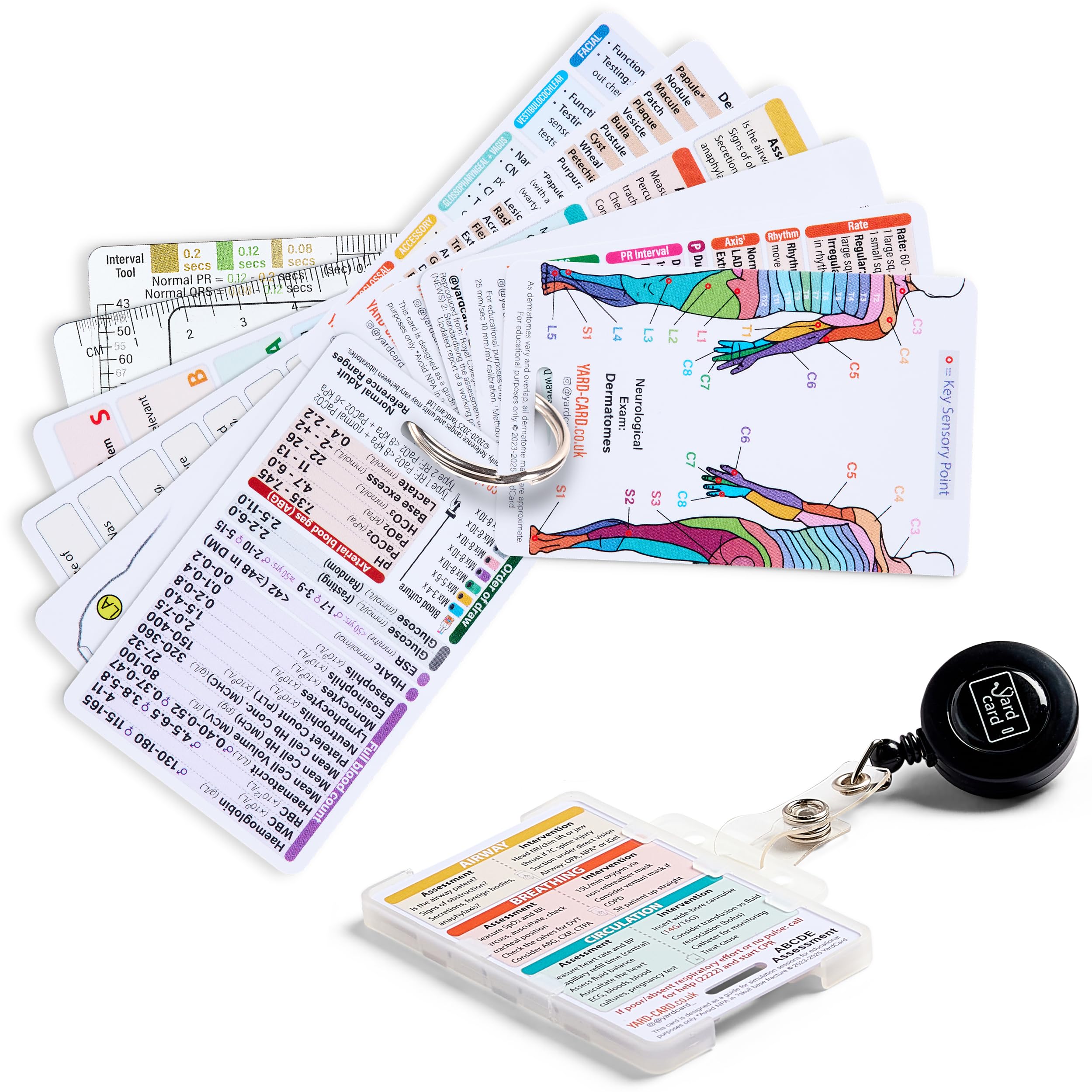 YardCard Set di 12 Carte Essenziali per Cravatta (Dimensione Tessera ID) con Supporto e Bobina Retrattile per Infermieri, Studenti Infermieri, Medici, Paramedici, Studenti di Medicina