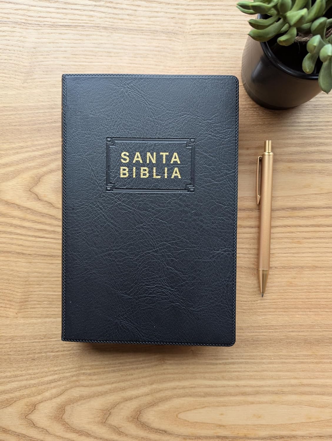 Santa Biblia NTV, Edición premio y regalo (ViniPiel, Negro, Letra Roja) (Spanish Edition)      Paperback – May 20, 2025