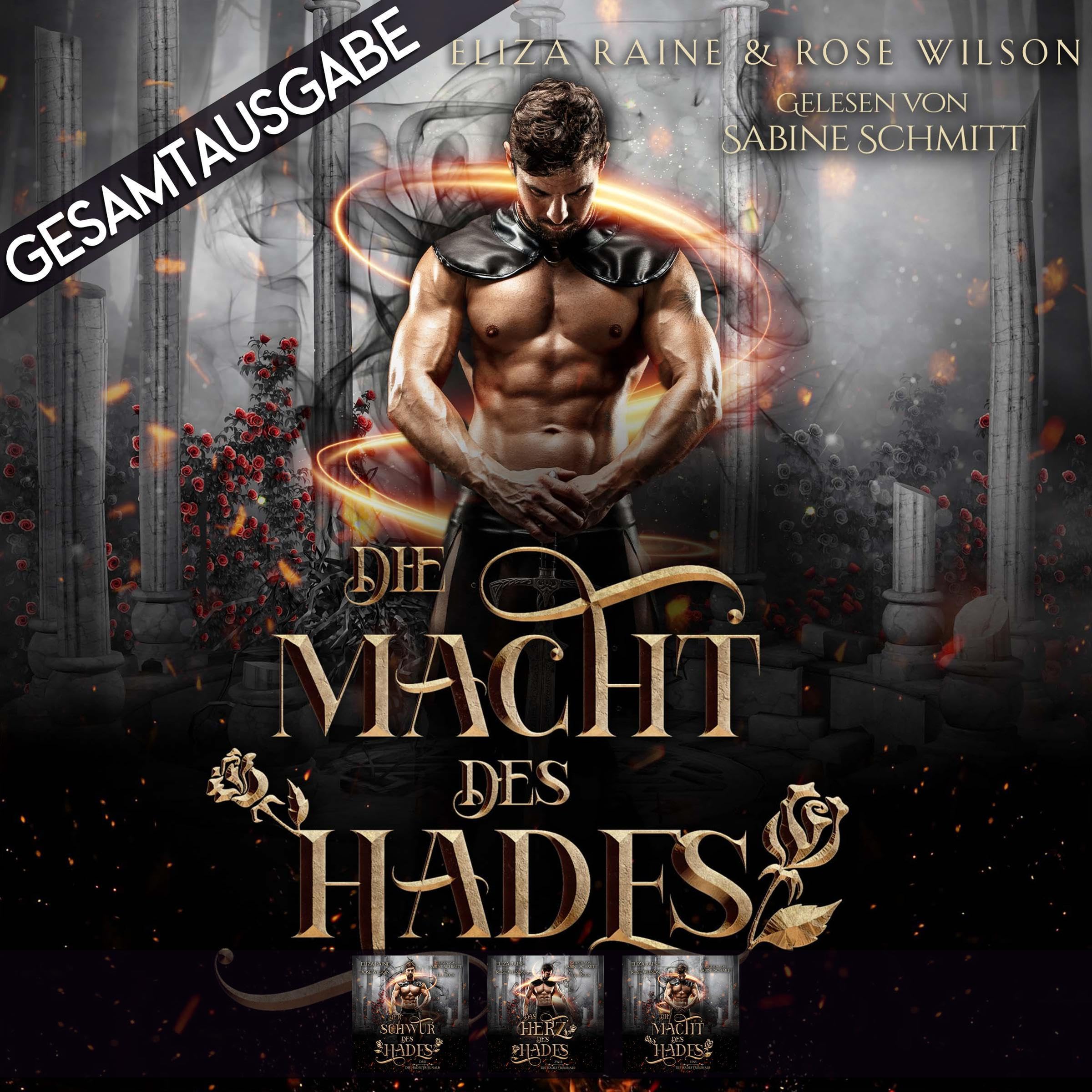 Cover art for Die Macht des Hades: Die Hades Tribunale - Gesamtausgabe