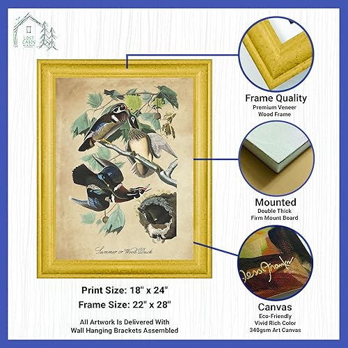 Vista 202 de Towee Bunting by James Audubon - Marco biselado negro de 12 x 16 pulgadas, decoración artística enmarcada para pared, reproducción de pinturas