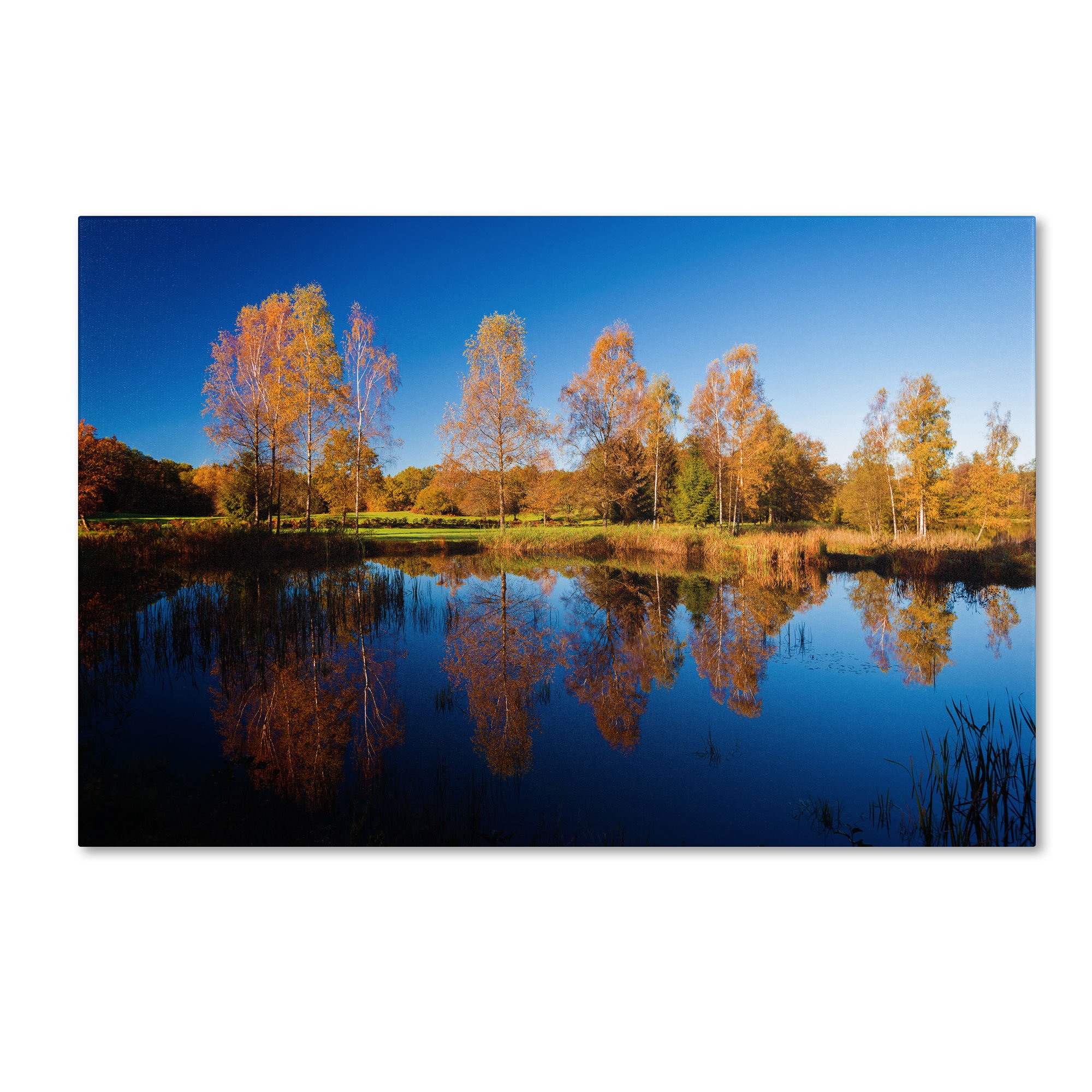 Colors of October by Philippe Sainte-Laudy Wall Decor, 30 by 47-Inch Canvas Wall Art