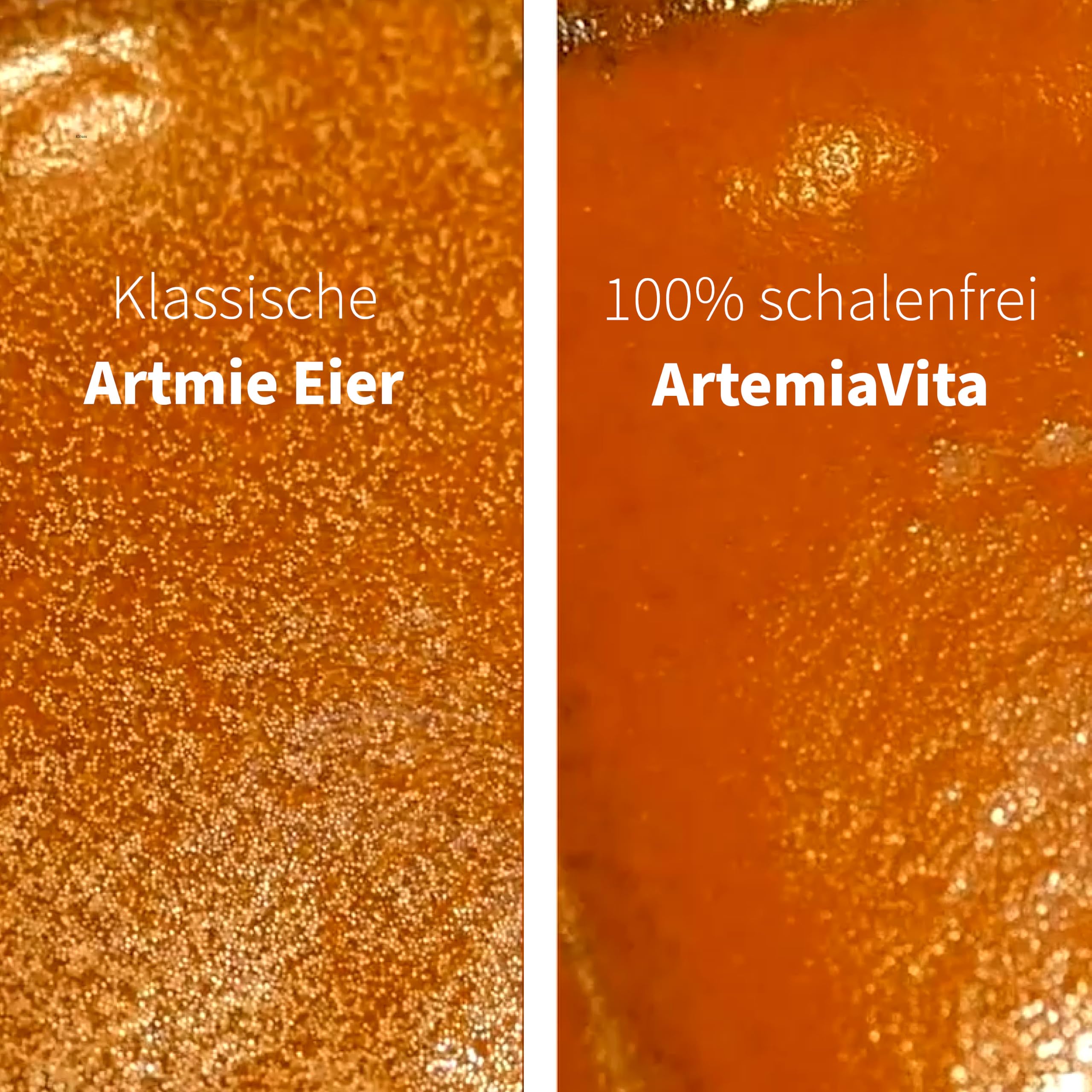 Arte Mia Vita – Arte Mia œufs entkapselt dekapsuliert avec 95% – 99% schlupf