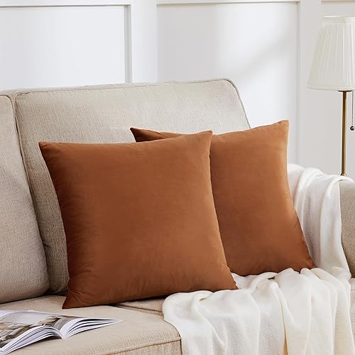 Vista 157 de GIGIZAZA - Juego de 2 fundas de almohada decorativas de 18 x 18 pulgadas, fundas de almohada cuadradas de terciopelo verde azulado pavo real